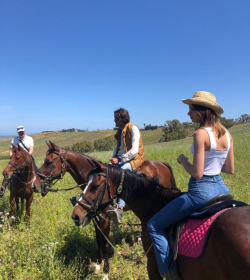 Agenzia/operatore Turistico Horsing Jumping Ranch